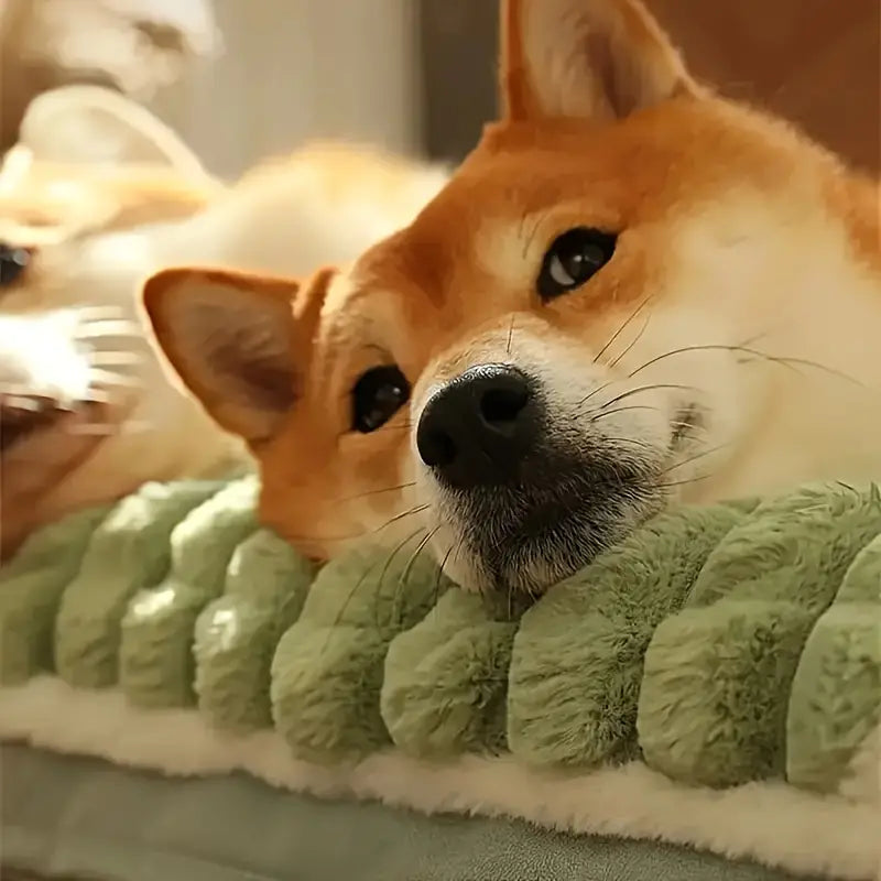 Colchão Ortopédico para Cães - Conforto e Higiene para seu animal.